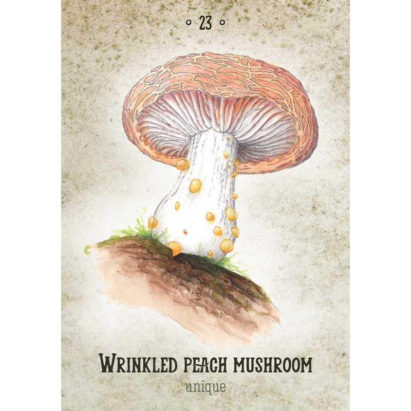 Mushroom Spirit Oracle Deck by Nicola McIntosh – 36 Illustrated Cards & Guidebook