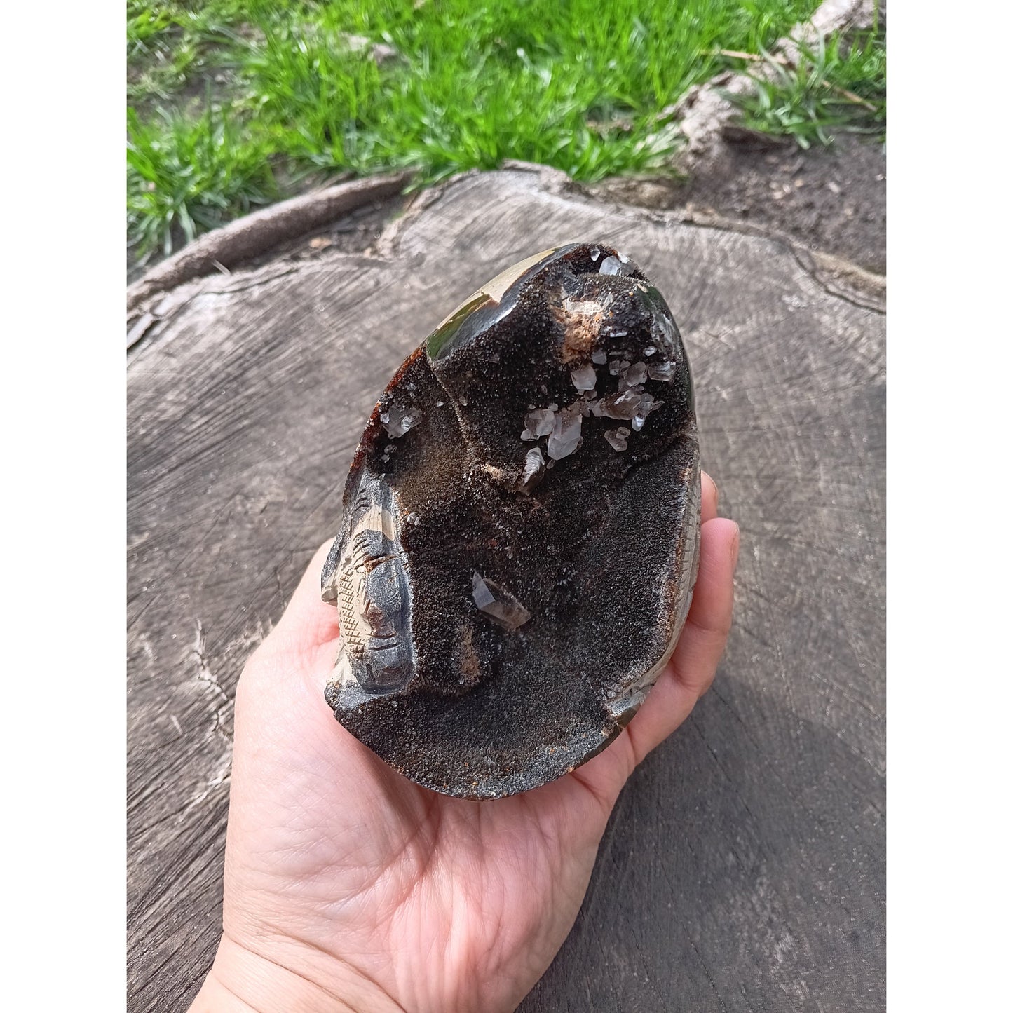 Septarian Dragon Egg | Grounding & Ancient Wisdom | 4.75" 2lb Crystal