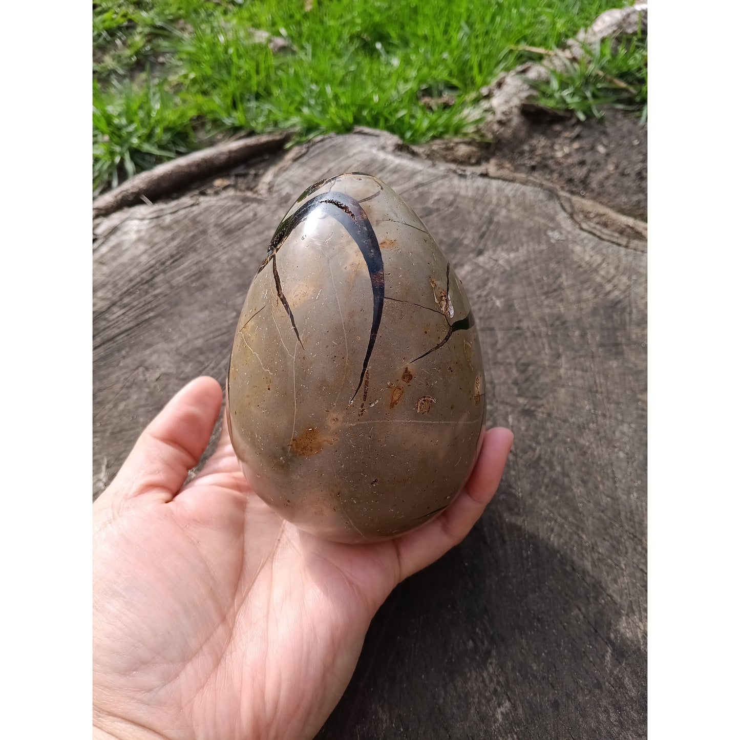 Septarian Dragon Egg | Grounding & Ancient Wisdom | 4.75" 2lb Crystal