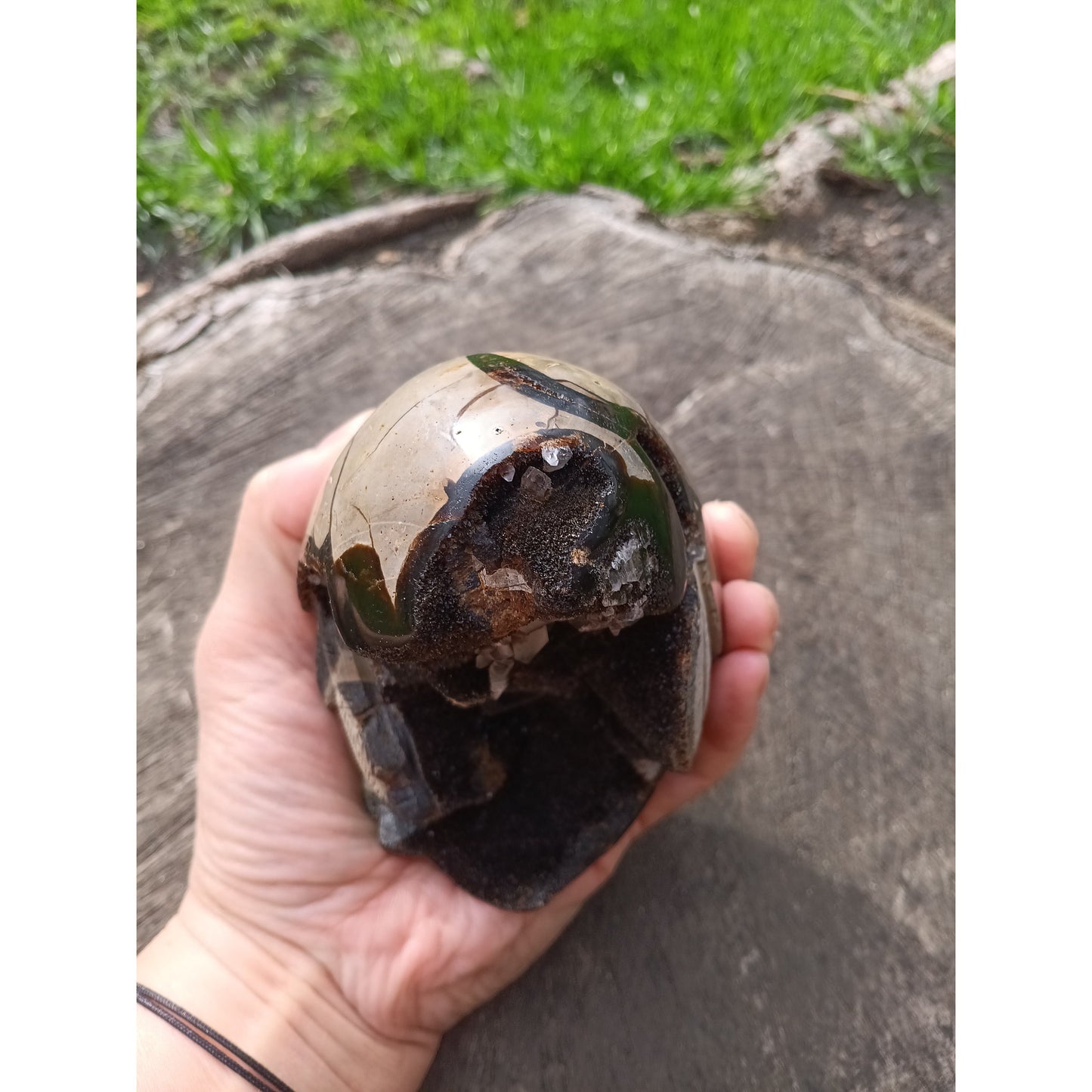 Septarian Dragon Egg | Grounding & Ancient Wisdom | 4.75" 2lb Crystal