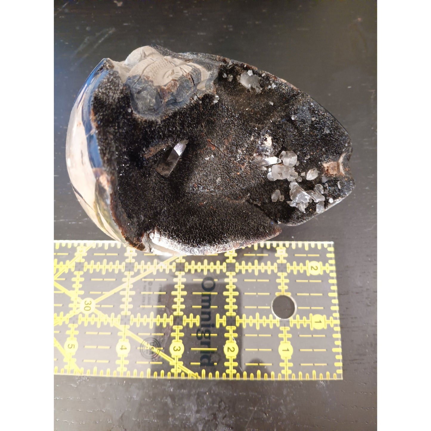 Septarian Dragon Egg | Grounding & Ancient Wisdom | 4.75" 2lb Crystal