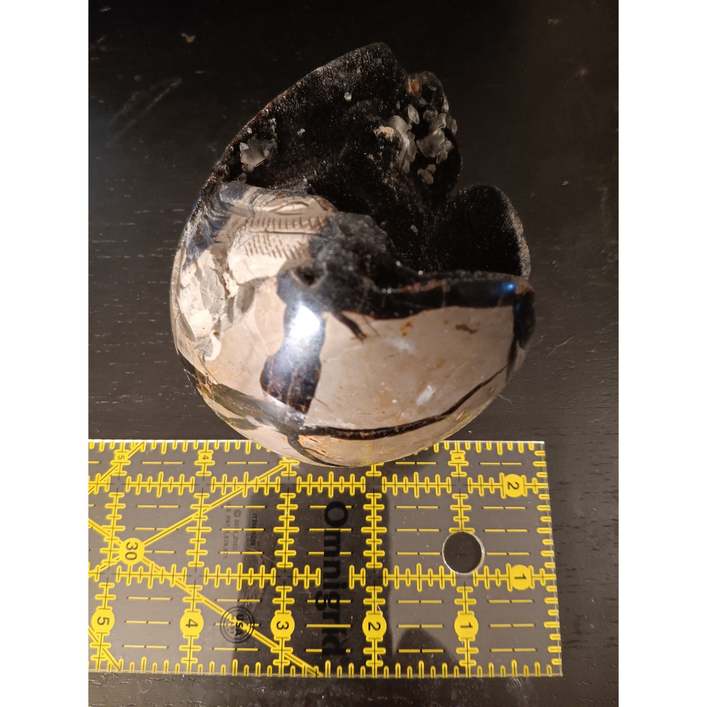 Septarian Dragon Egg | Grounding & Ancient Wisdom | 4.75" 2lb Crystal