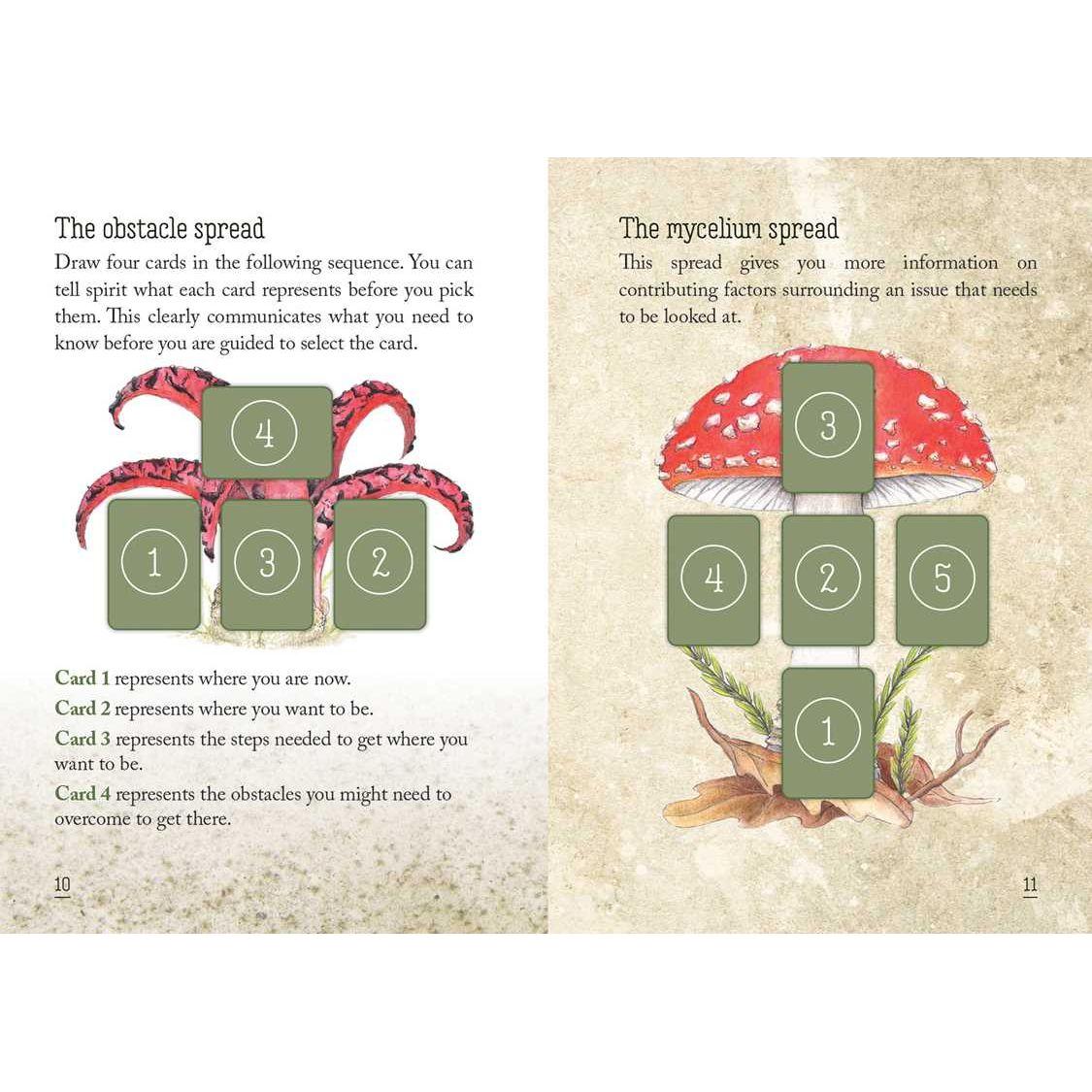 Mushroom Spirit Oracle Deck by Nicola McIntosh – 36 Illustrated Cards & Guidebook