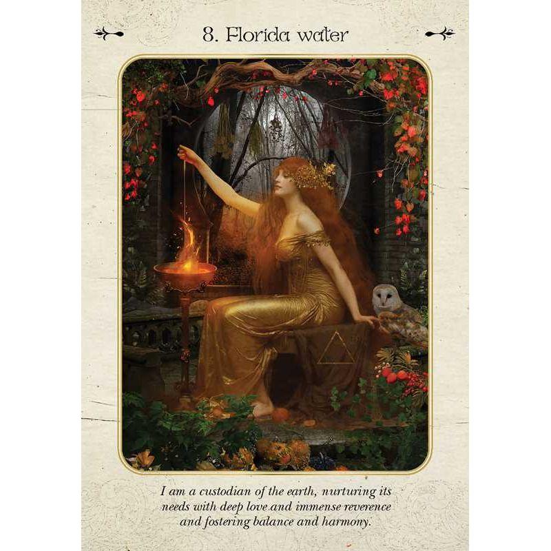 Kitchen Witch Oracle by Jena Dellagrottaglia – A Spellbinding Deck of Herbal Wisdom & Elemental Magic