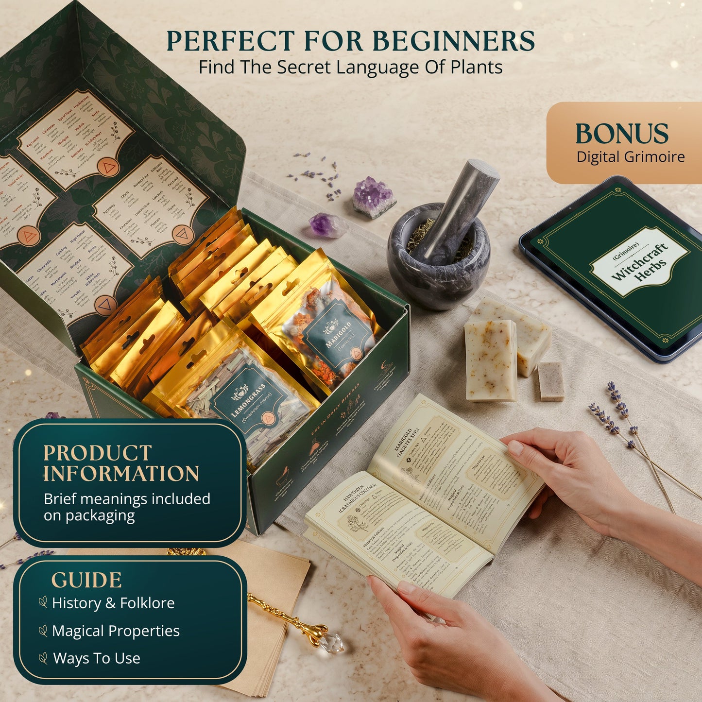 40-Piece Witchcraft Herb Kit | Dried Herbs & Flowers with Guide