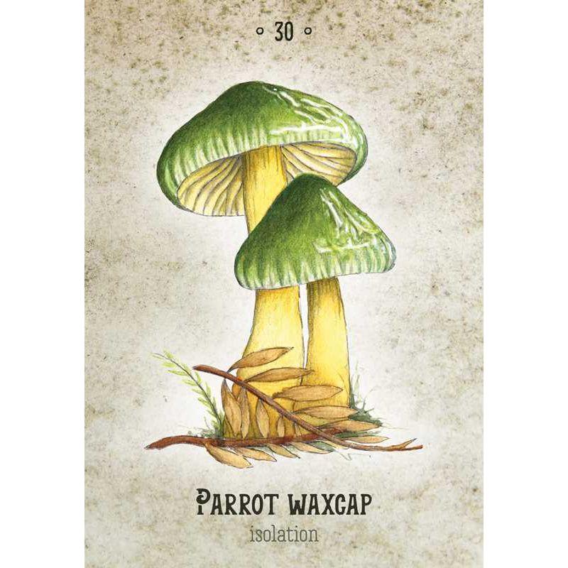 Mushroom Spirit Oracle Deck by Nicola McIntosh – 36 Illustrated Cards & Guidebook
