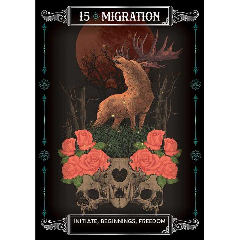 Earth & Bone Oracle Deck by Sirian Shadow – A Tool for Spiritual Growth & Transformation