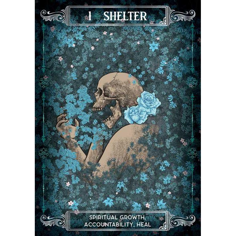 Earth & Bone Oracle Deck by Sirian Shadow – A Tool for Spiritual Growth & Transformation