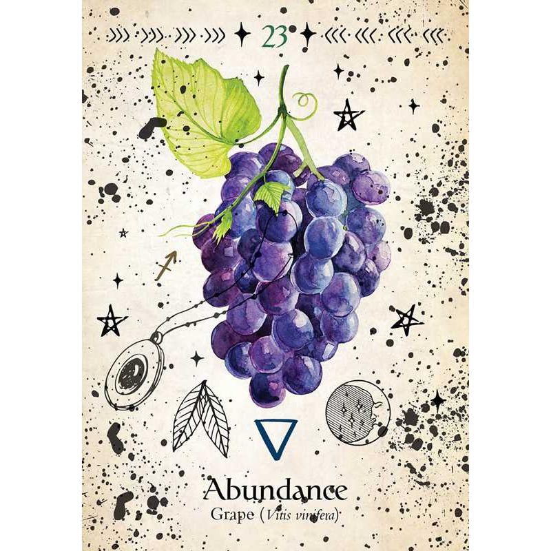 Green Witch Oracle Deck – 44 Cards & Guidebook | Garden Magick, Herbal Wisdom, Divination