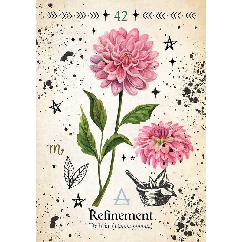 Green Witch Oracle Deck – 44 Cards & Guidebook | Garden Magick, Herbal Wisdom, Divination