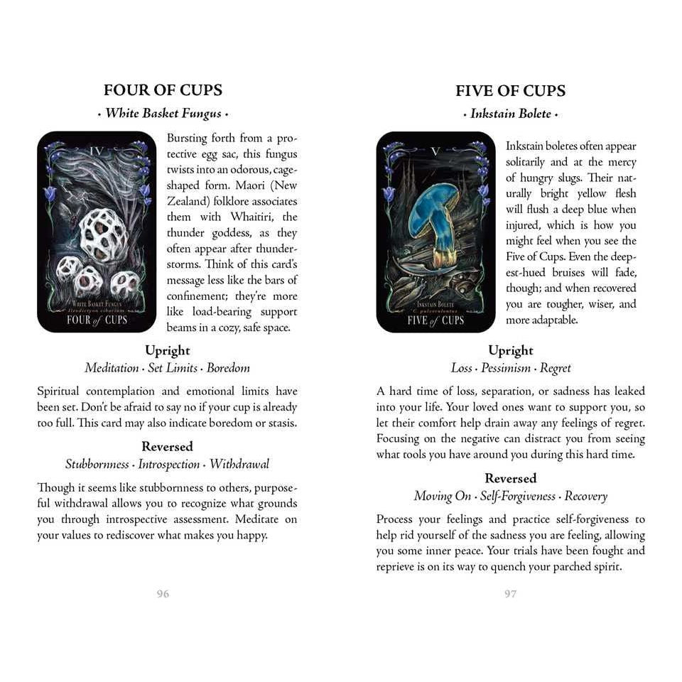 Midnight Magic: A Mushroom Tarot Deck by Sara Richard