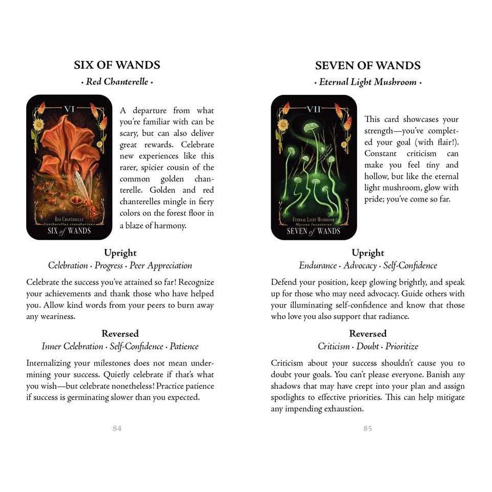 Midnight Magic: A Mushroom Tarot Deck by Sara Richard