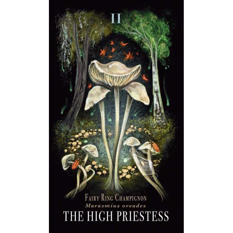 Midnight Magic: A Mushroom Tarot Deck by Sara Richard