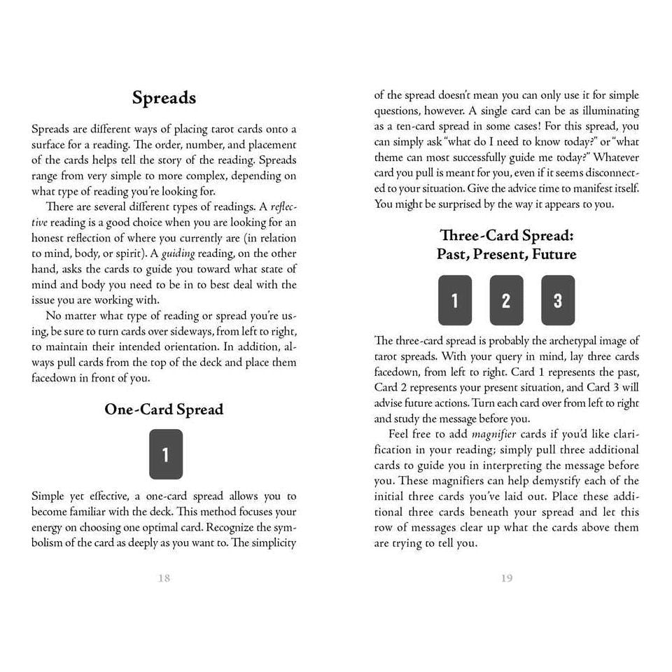 Midnight Magic: A Mushroom Tarot Deck by Sara Richard