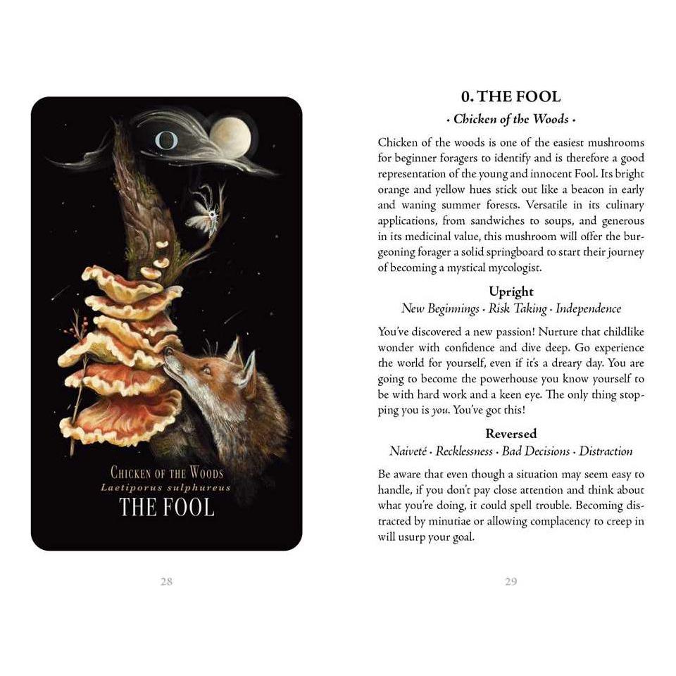 Midnight Magic: A Mushroom Tarot Deck by Sara Richard