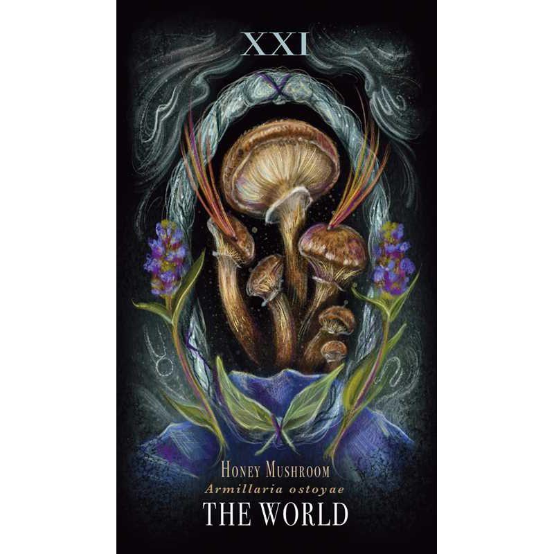 Midnight Magic: A Mushroom Tarot Deck by Sara Richard