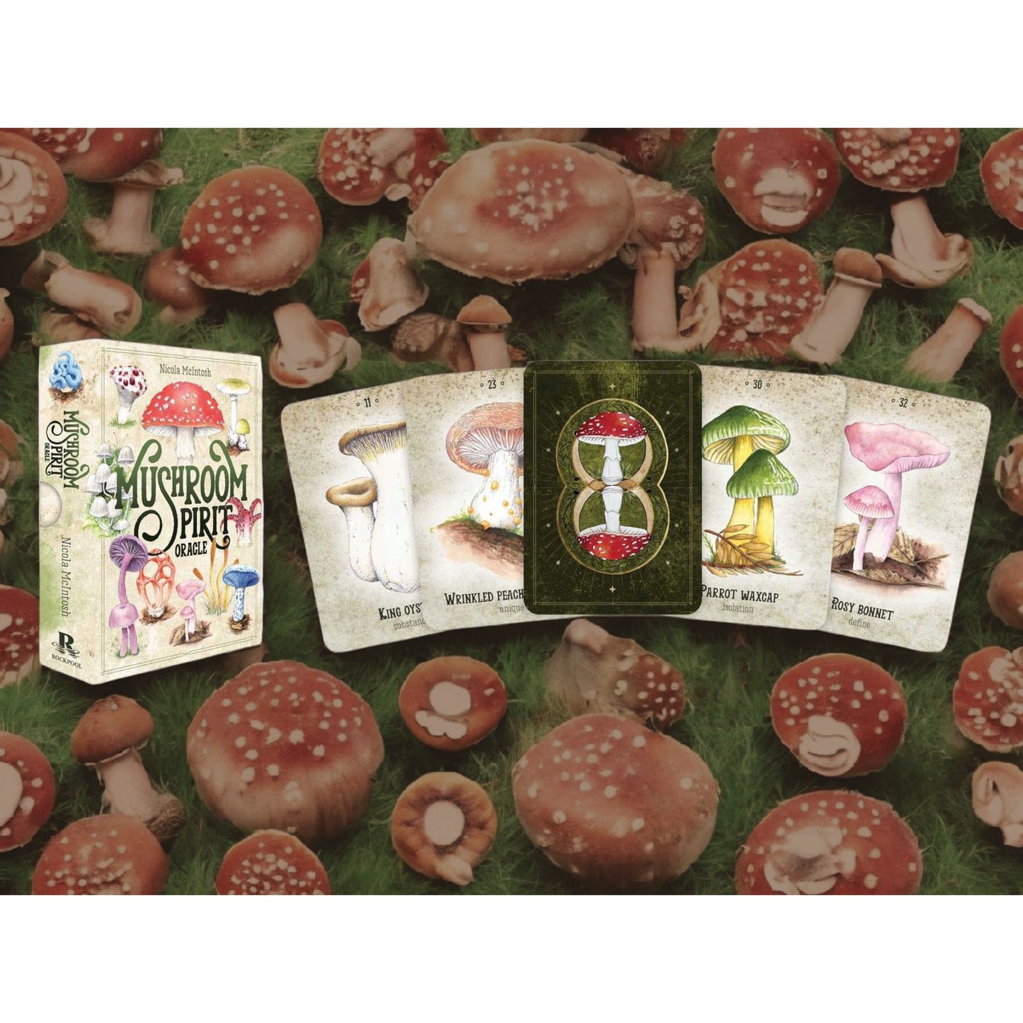 Mushroom Spirit Oracle Deck by Nicola McIntosh – 36 Illustrated Cards & Guidebook