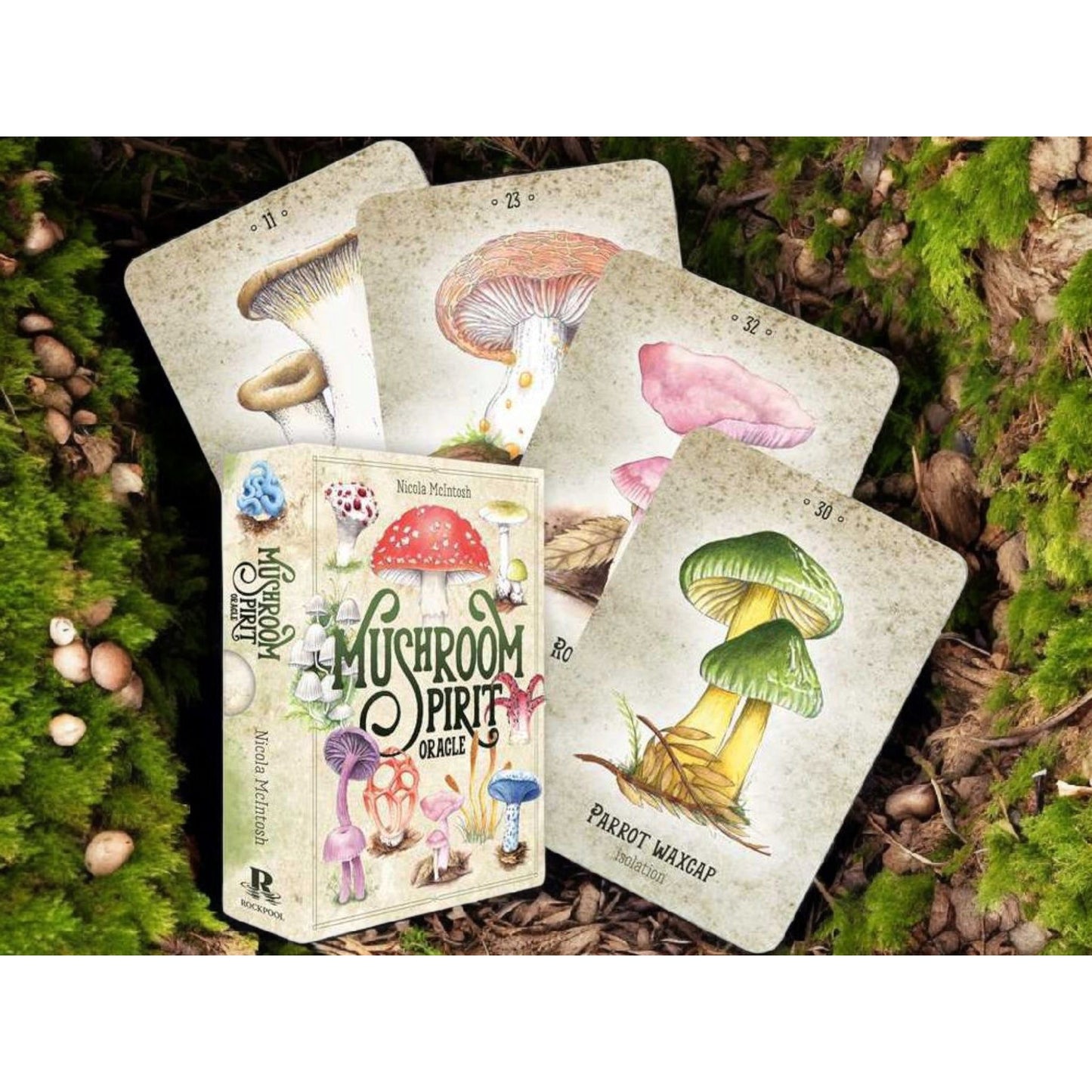 Mushroom Spirit Oracle Deck by Nicola McIntosh – 36 Illustrated Cards & Guidebook