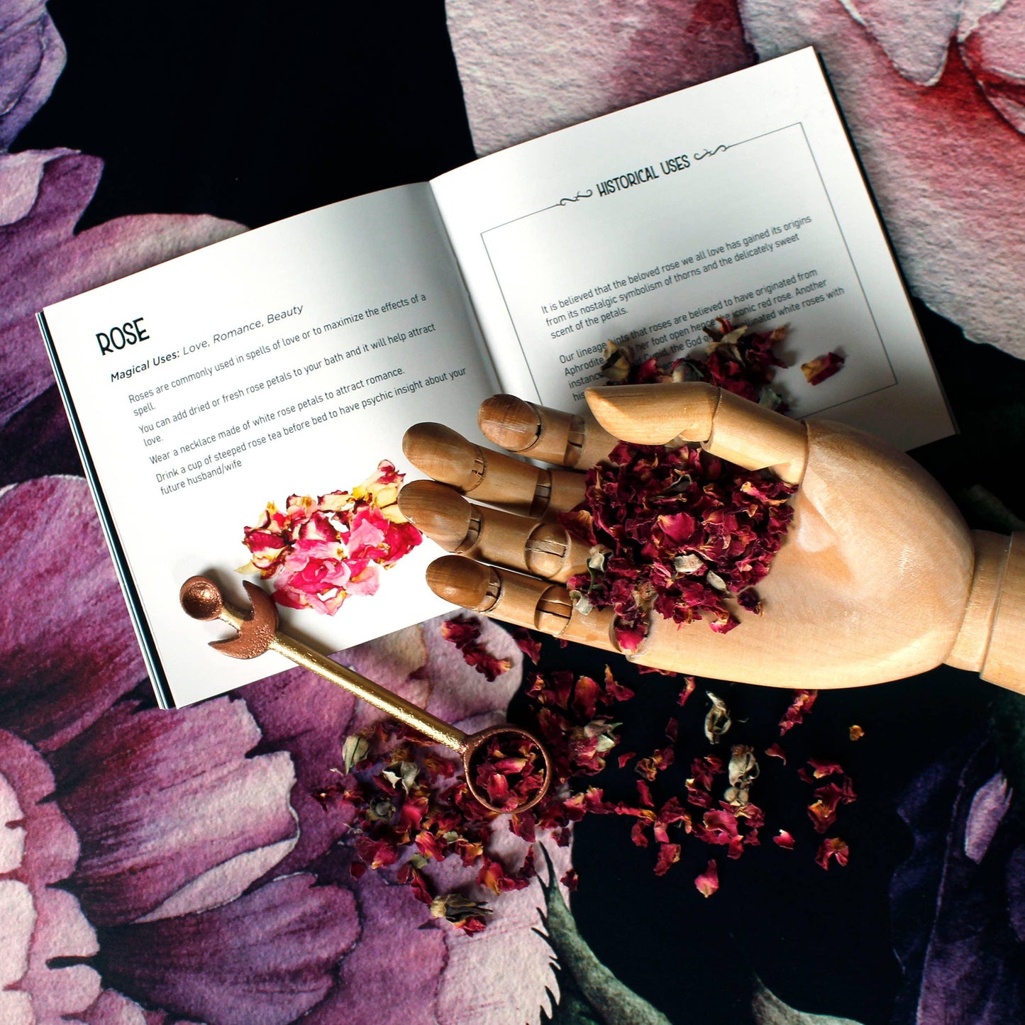 Witchcraft Herb Spell Kit – Crystals, Herbs, Pendulum & Spellbook for Rituals & Magick
