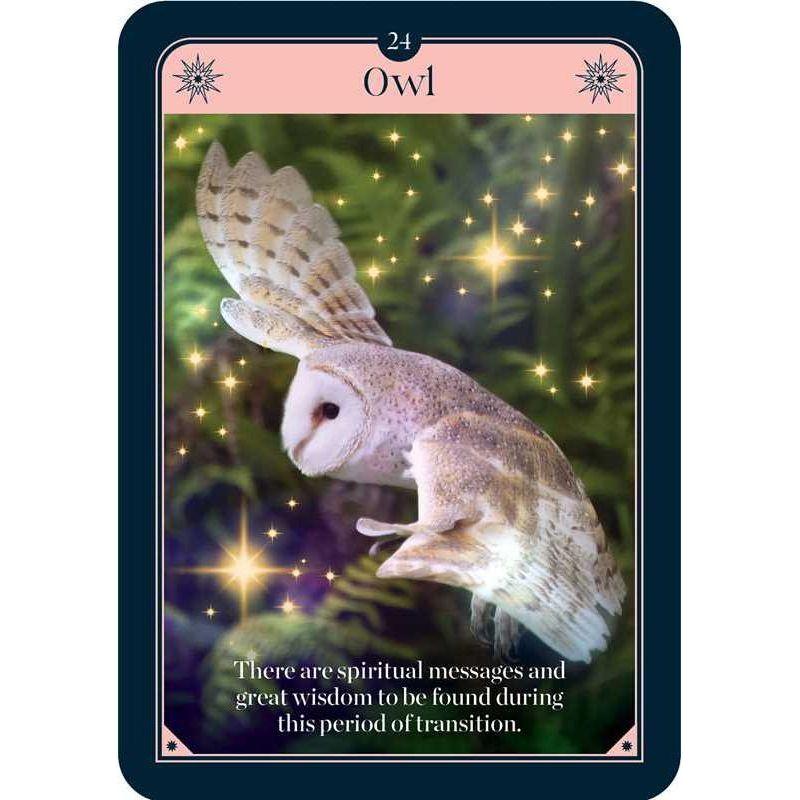 Fortune Oracle Deck by Sharina Star – 36 Cards & Guidebook