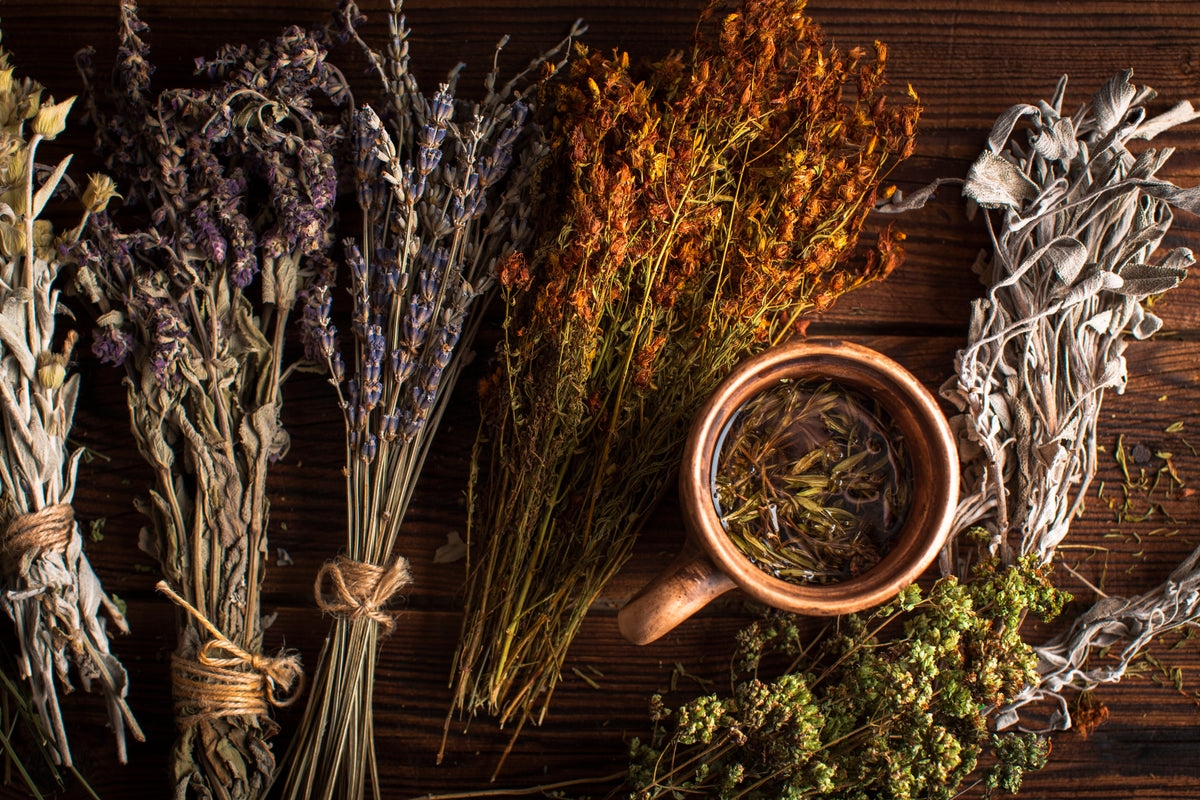 Witchcraft Herbs