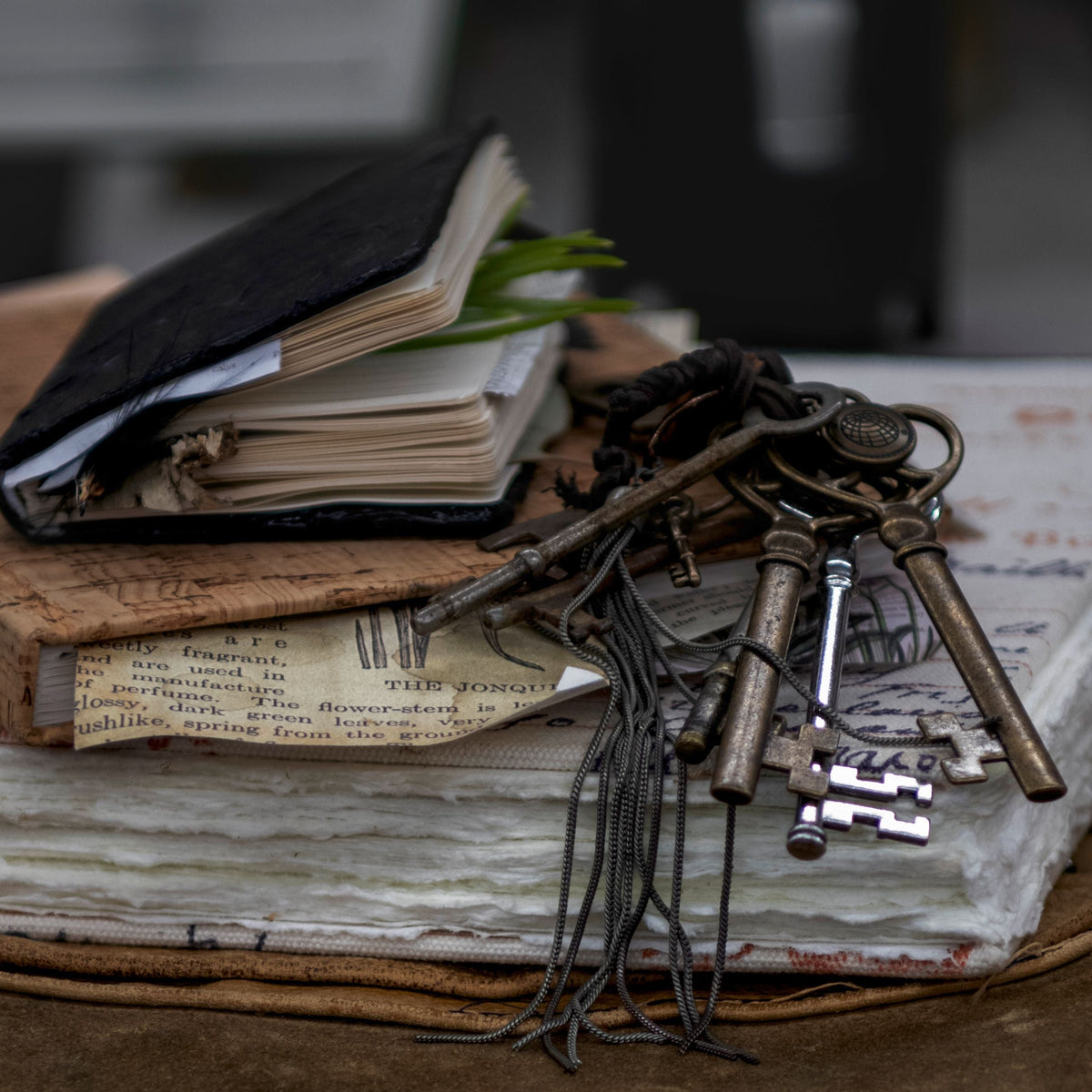 Spiritual Books & Journals