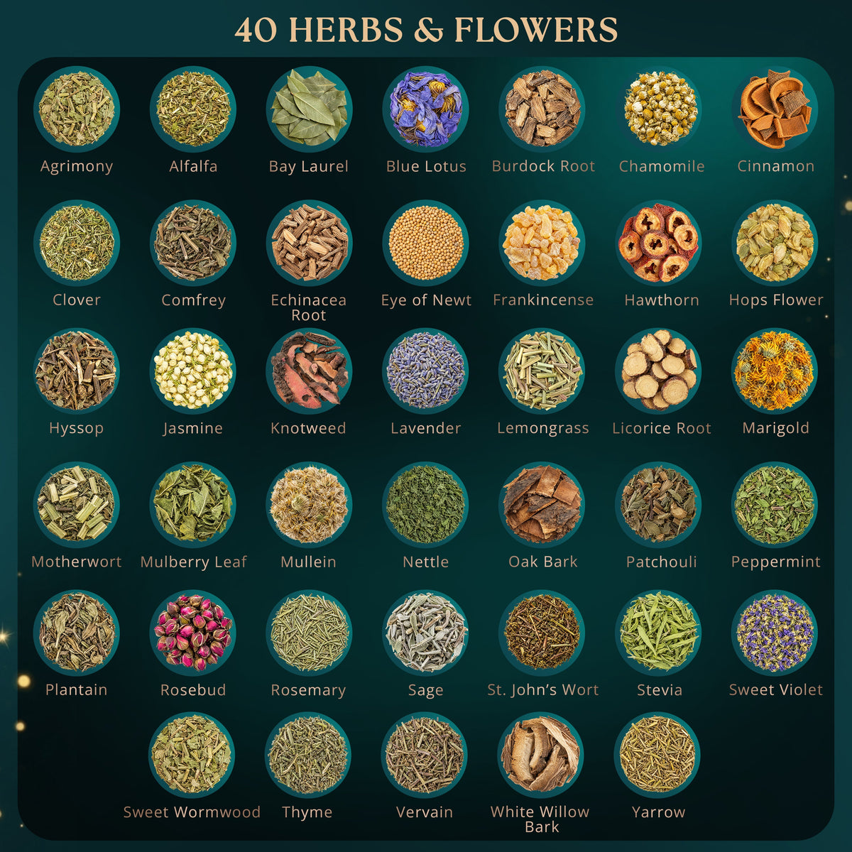 40-Piece Witchcraft Herb Kit | Dried Herbs & Flowers with Guide