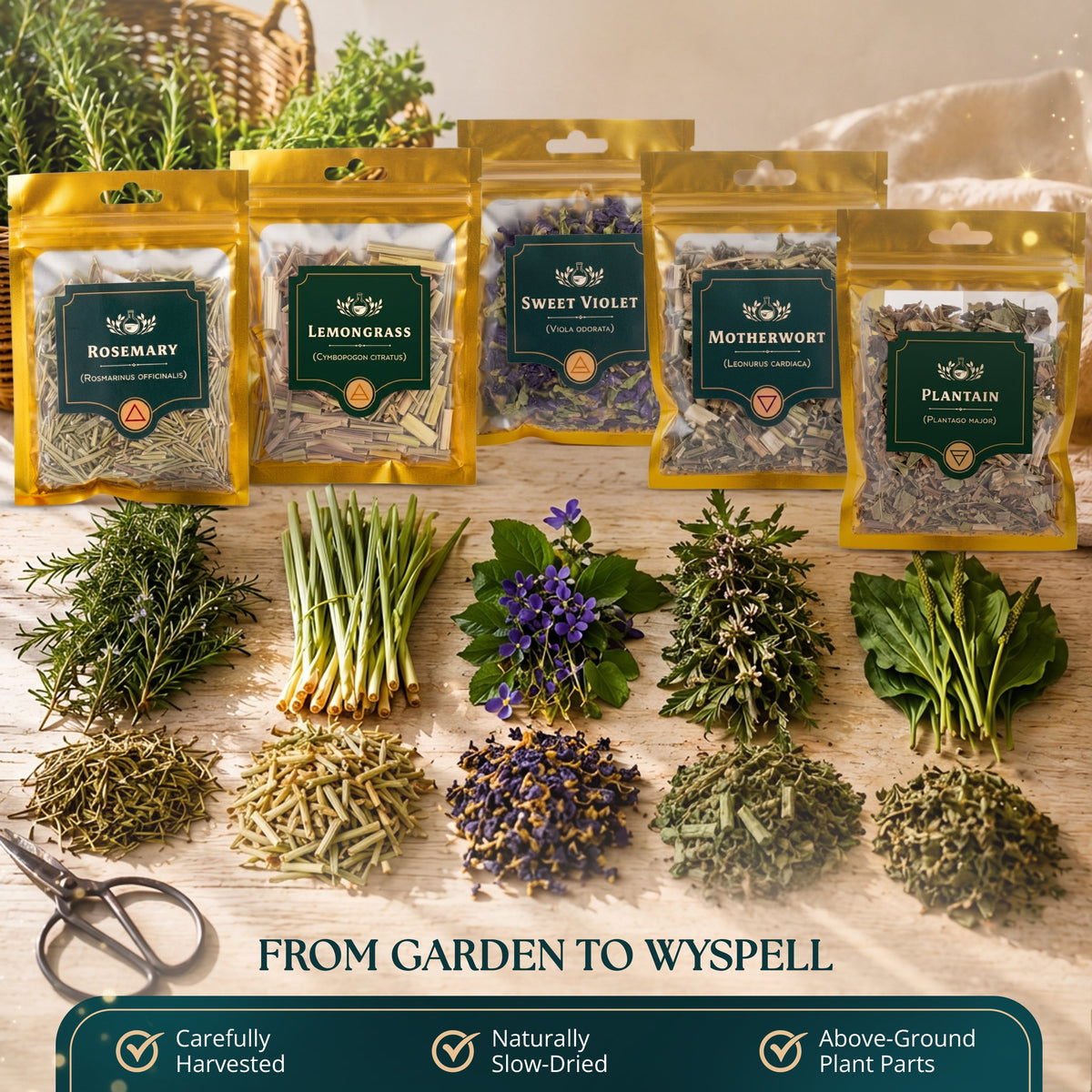 40-Piece Witchcraft Herb Kit | Dried Herbs & Flowers with Guide