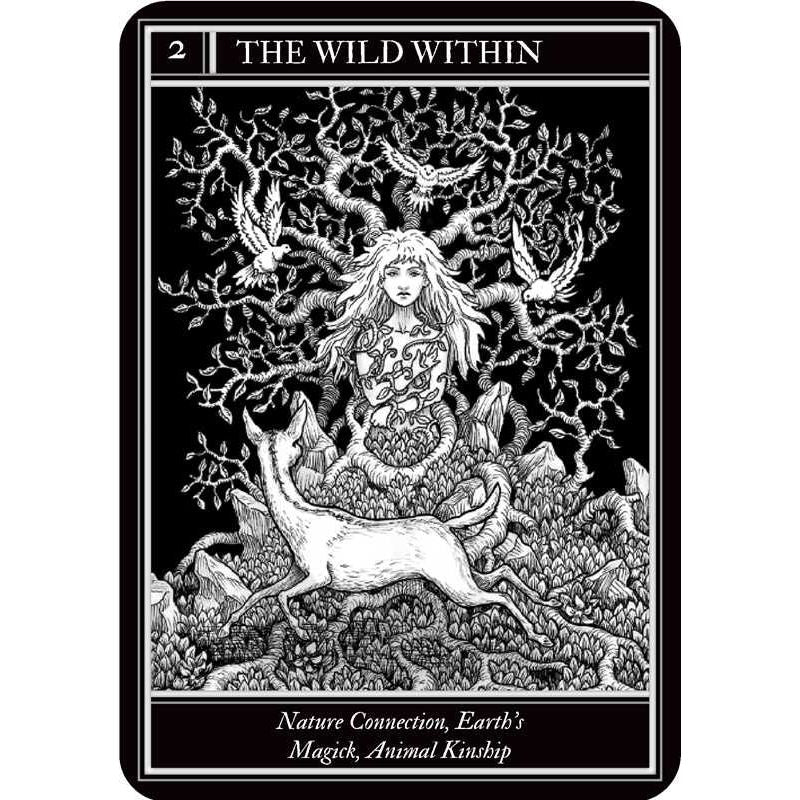 Coven Oracle Deck by Fiona Horne | Witchcraft & Magick