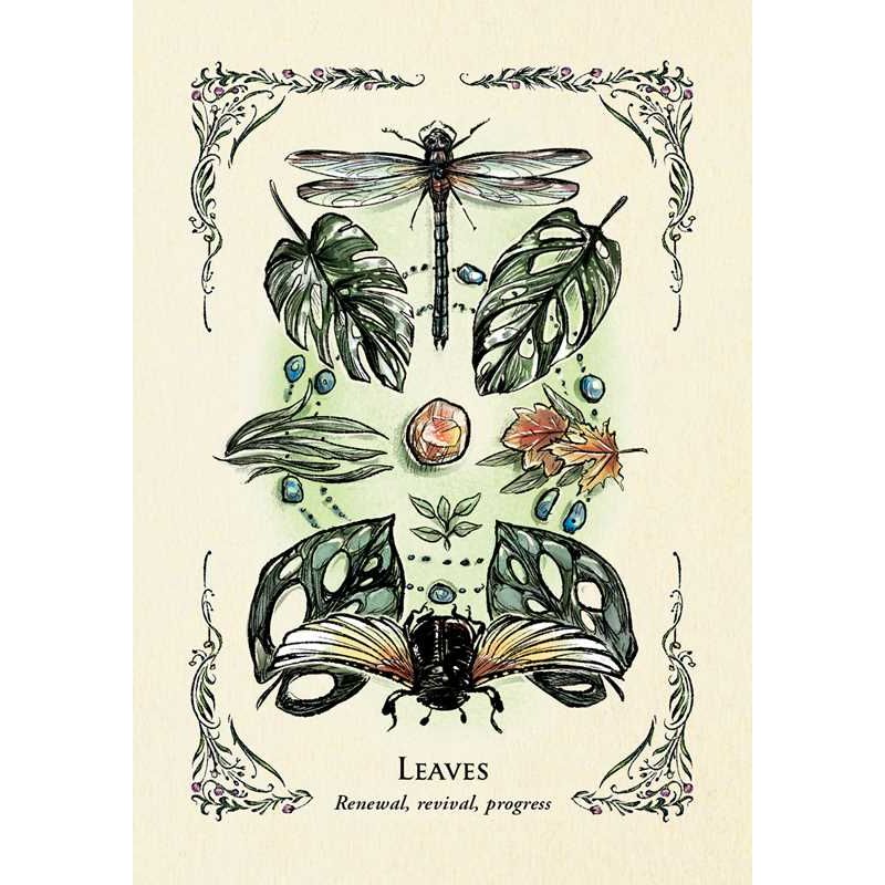 Green Witch's Oracle Deck by Arin Murphy-Hiscock | 50-Card Green Witchcraft & Nature Oracle Deck