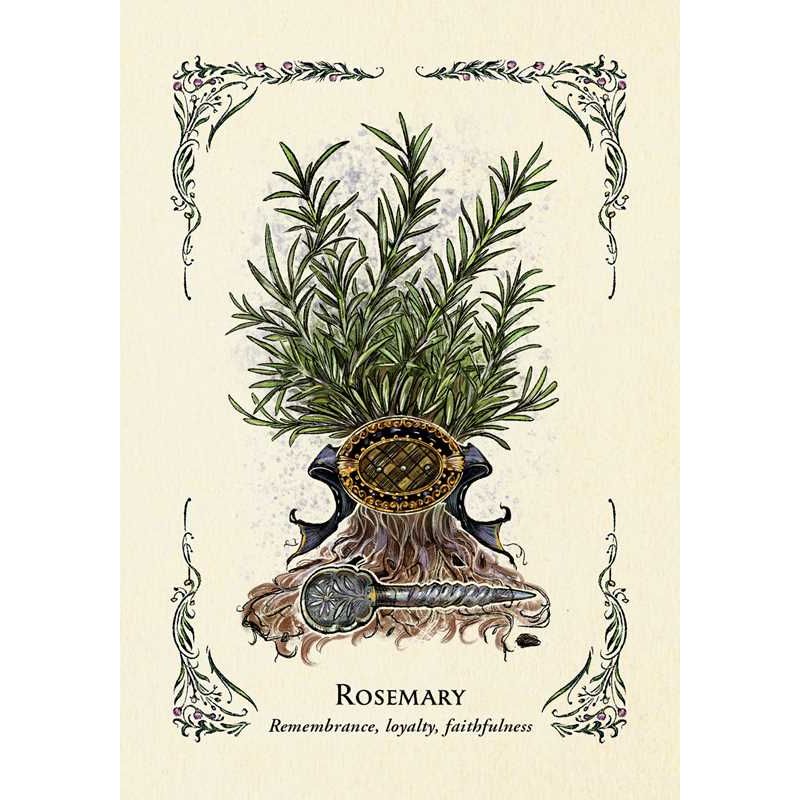 Green Witch's Oracle Deck by Arin Murphy-Hiscock | 50-Card Green Witchcraft & Nature Oracle Deck