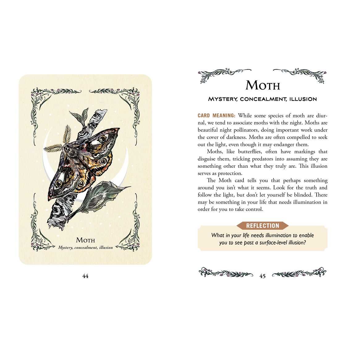Green Witch's Oracle Deck by Arin Murphy-Hiscock | 50-Card Green Witchcraft & Nature Oracle Deck