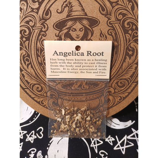 Angelica Root | Witchcraft Herb