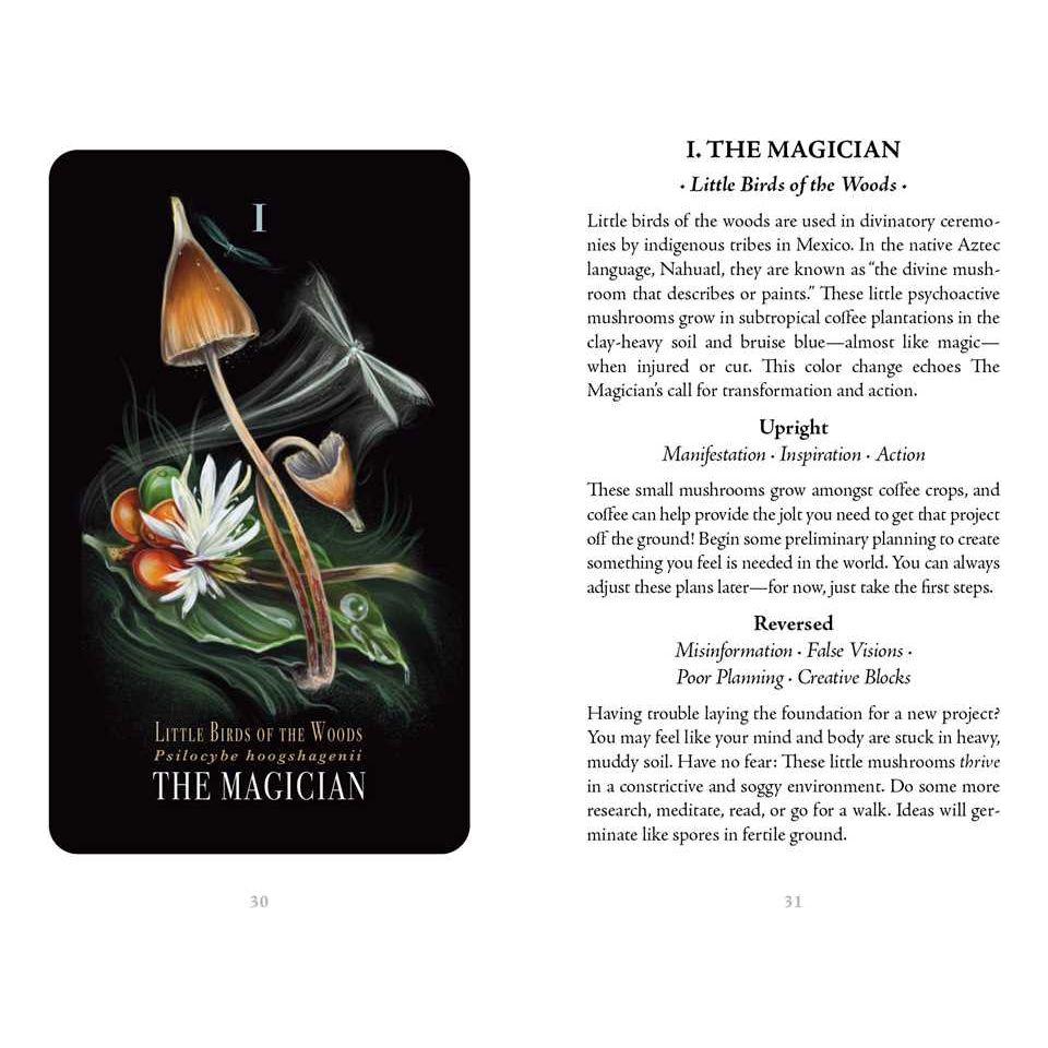 Midnight Magic: A Mushroom Tarot Deck by Sara Richard