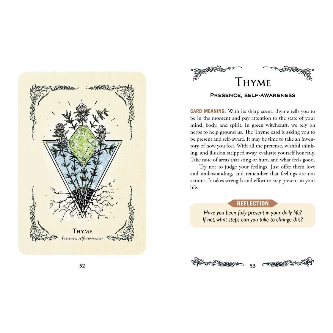 Green Witch's Oracle Deck by Arin Murphy-Hiscock | 50-Card Green Witchcraft & Nature Oracle Deck